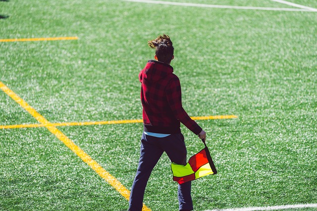 外贸活动如 外贸活动如