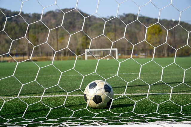 为未来核心 为未来核心