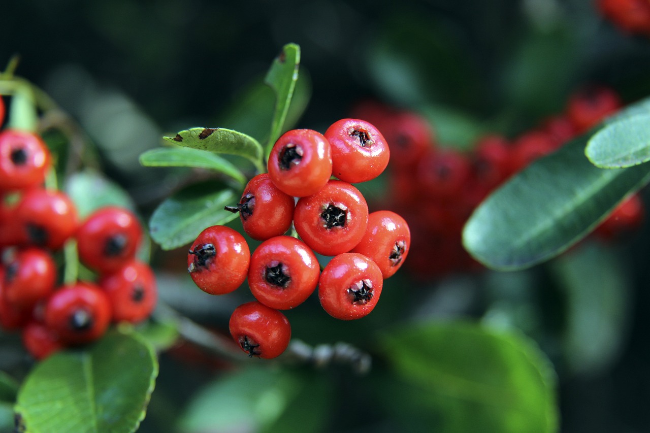 也符合了這 也符合了這