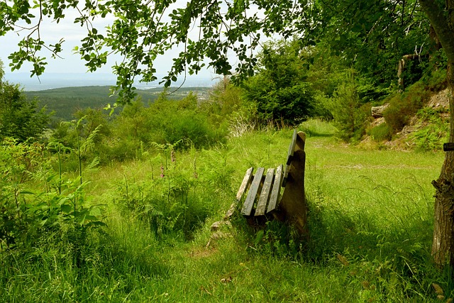 不应自满 不应自满