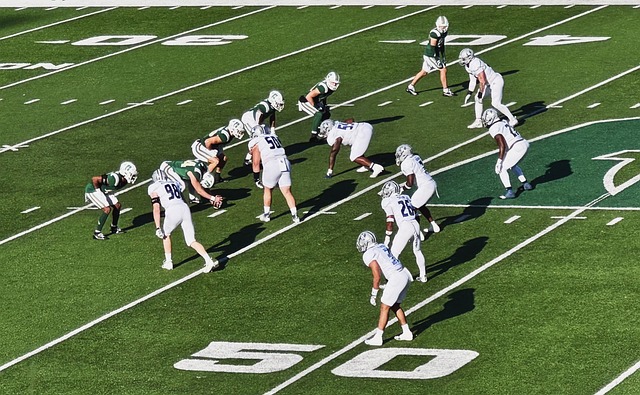 球队的整体 球队的整体