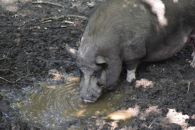 通过增加耐 通过增加耐