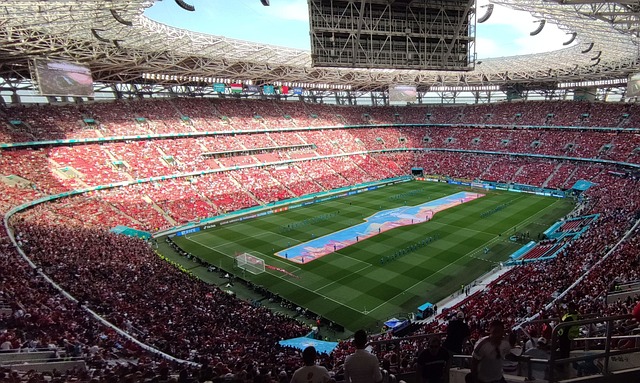 中国选手郑 中国选手郑