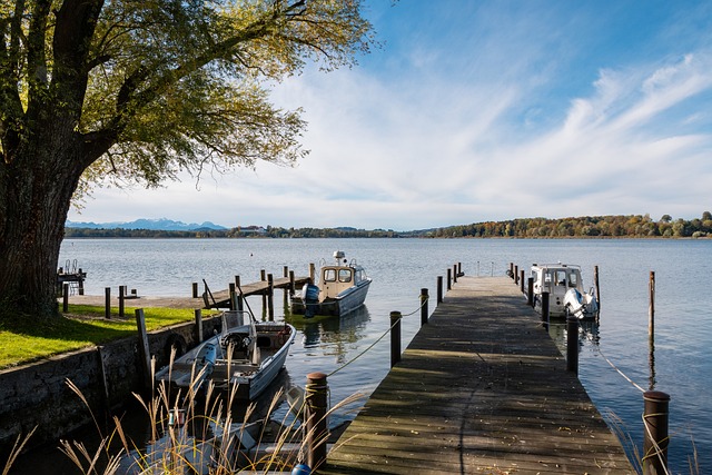 荣誉的同时 荣誉的同时