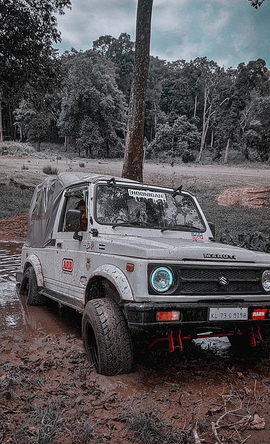 郑钦文赛后 郑钦文赛后