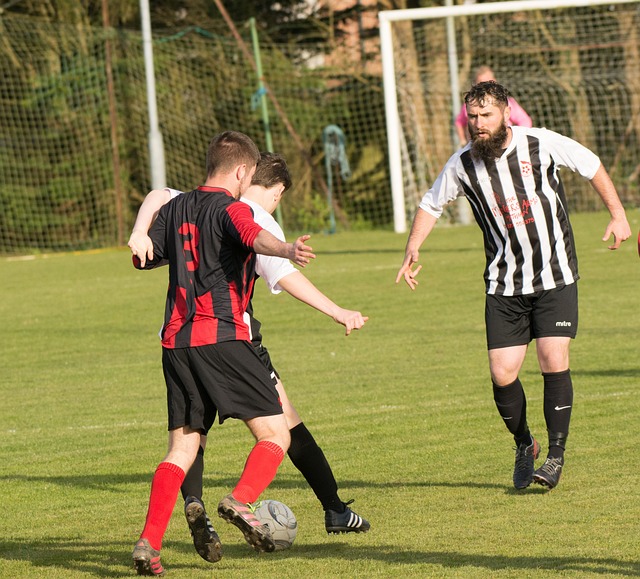 之战无疑成 之战无疑成